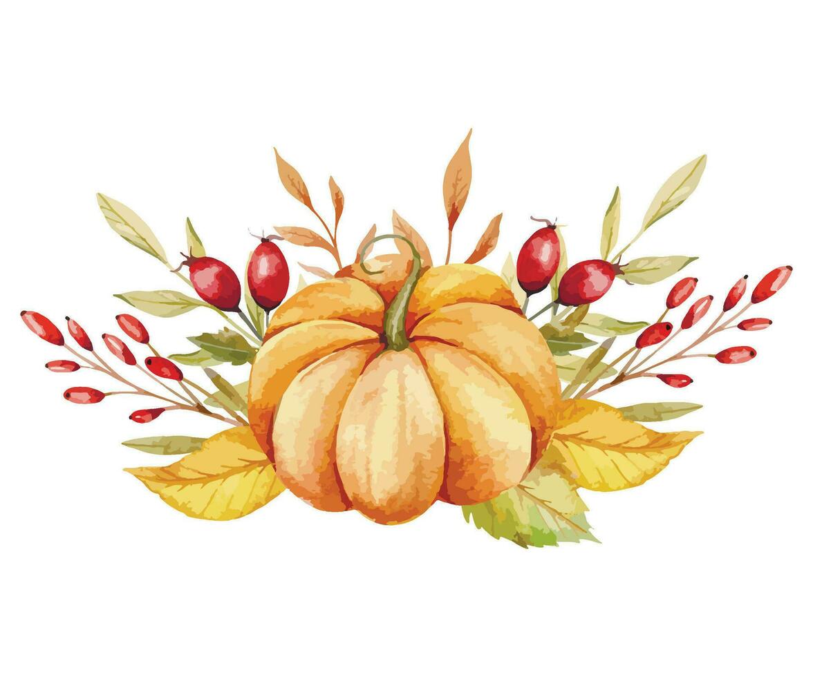 Autumn Thanksgiving Watercolor Pumpkins with leaves and harvest on white background. Fall floral arrangement with Pumpkins, Berries and Leaves vector