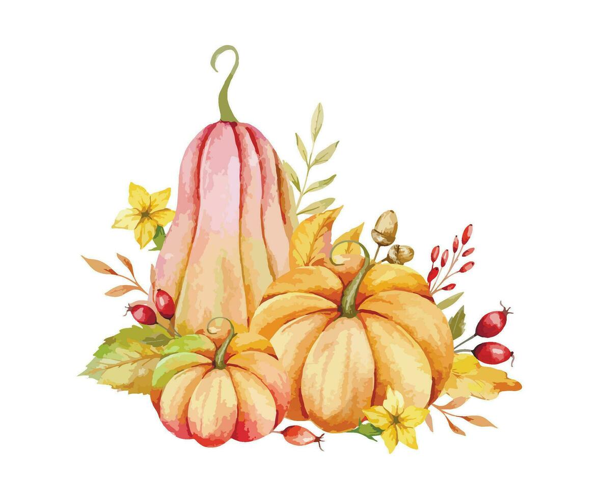 Autumn Thanksgiving Watercolor Pumpkins with leaves and harvest on white background. Fall floral arrangement with Pumpkins, Berries and Leaves vector