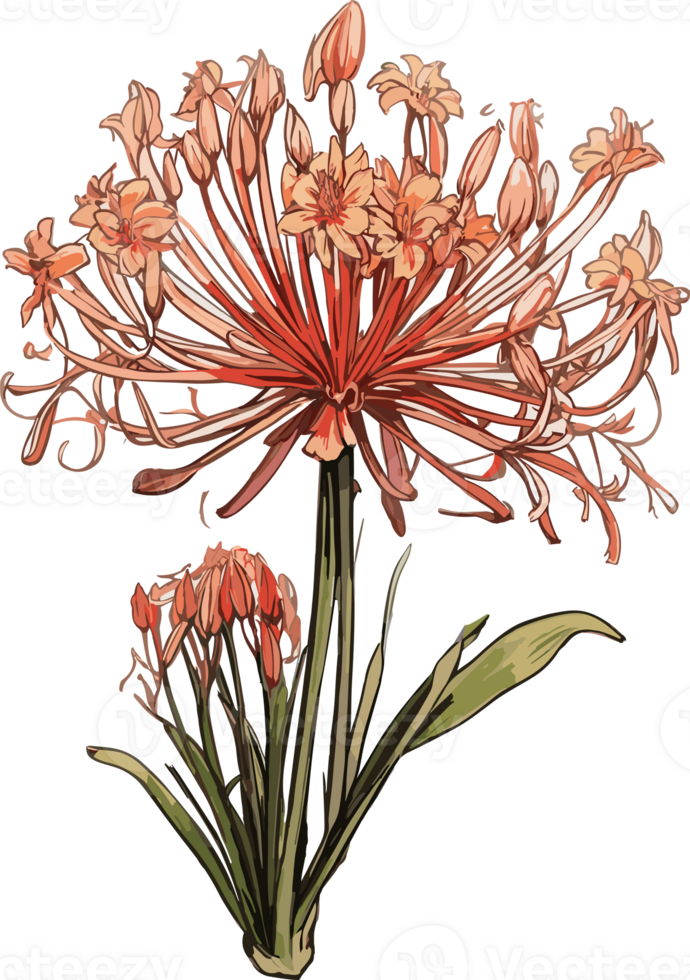 Blossoms at Dusk Higanbana Flowers Illuminated AI Generative png