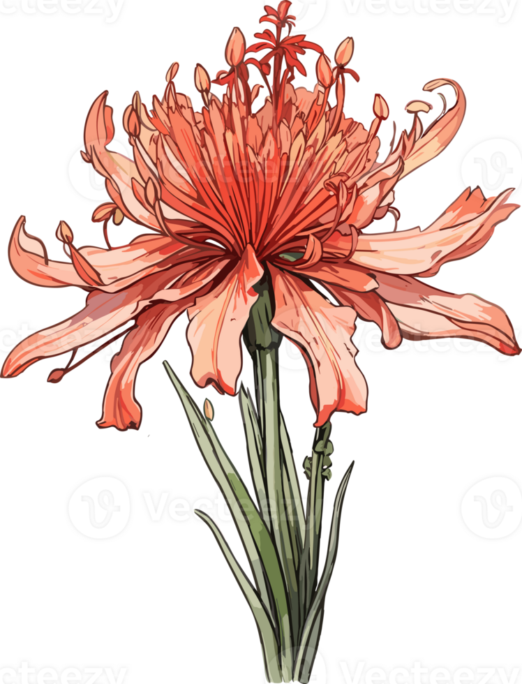 Blossoms at Dusk Higanbana Flowers Illuminated AI Generative png