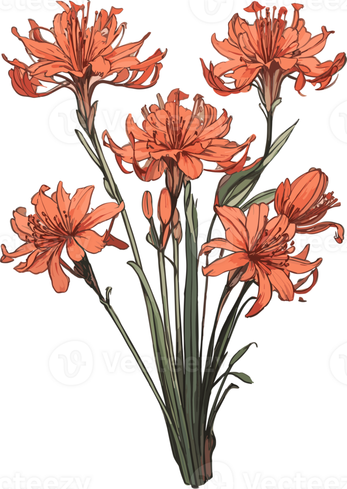 Blossoms at Dusk Higanbana Flowers Illuminated AI Generative png