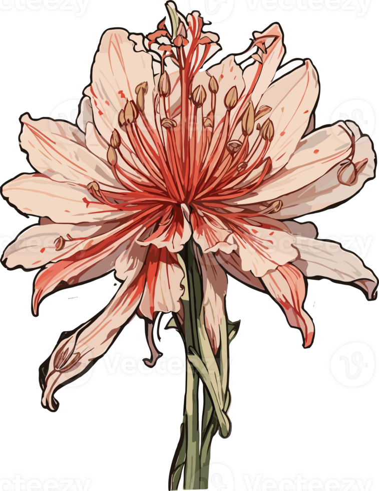 Blossoms at Dusk Higanbana Flowers Illuminated AI Generative png