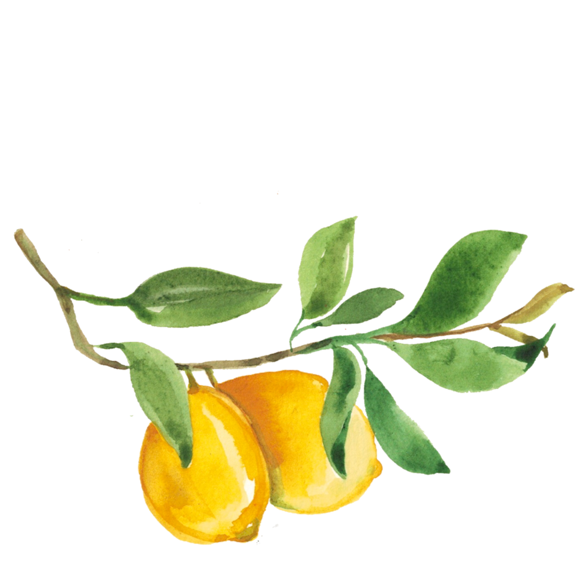 Lemon Orange watercolor 28714095 PNG