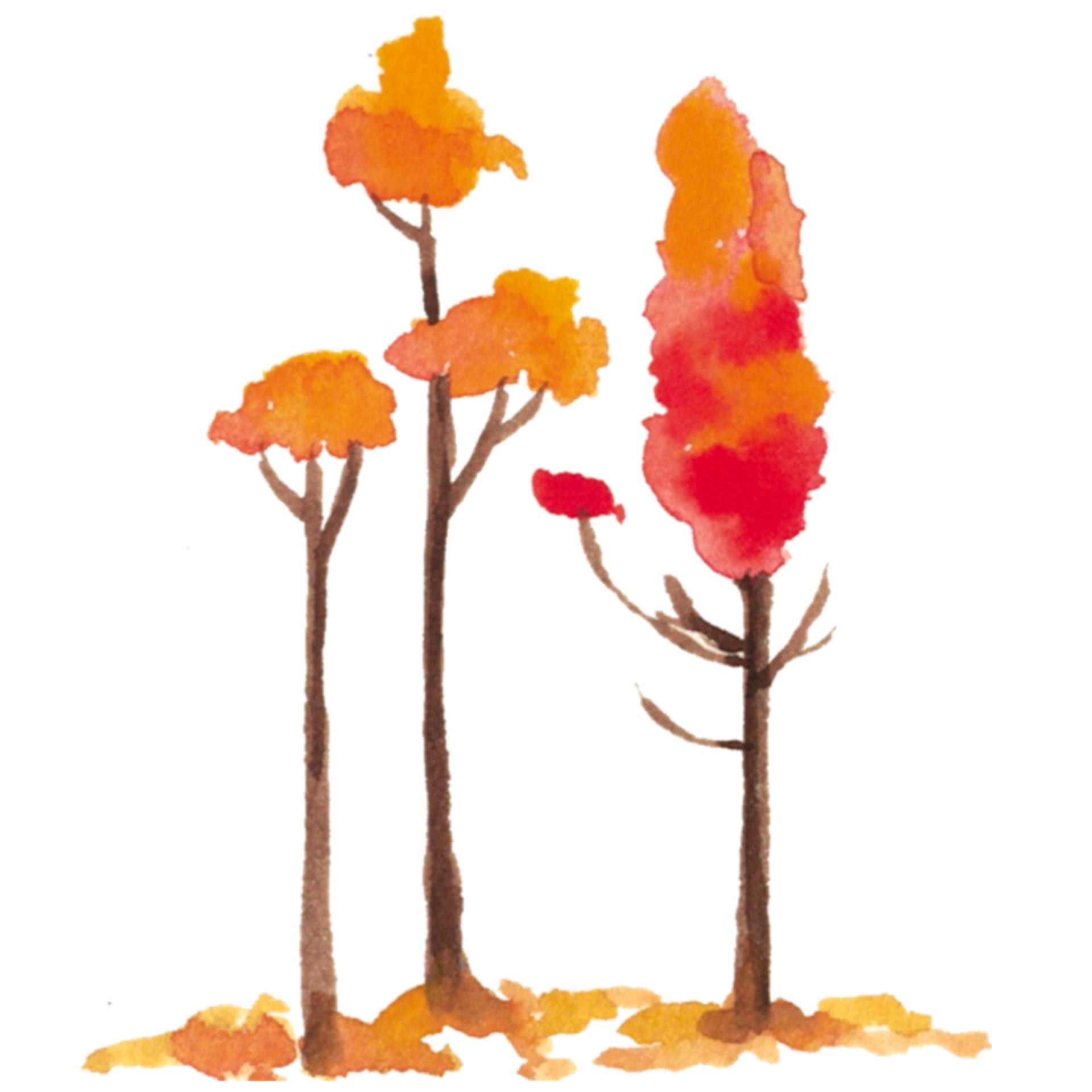 Trees Change Color In Autumn Season 28714099 PNG how-to-add-code-blocks-with-syntax-highlight-in-markdown