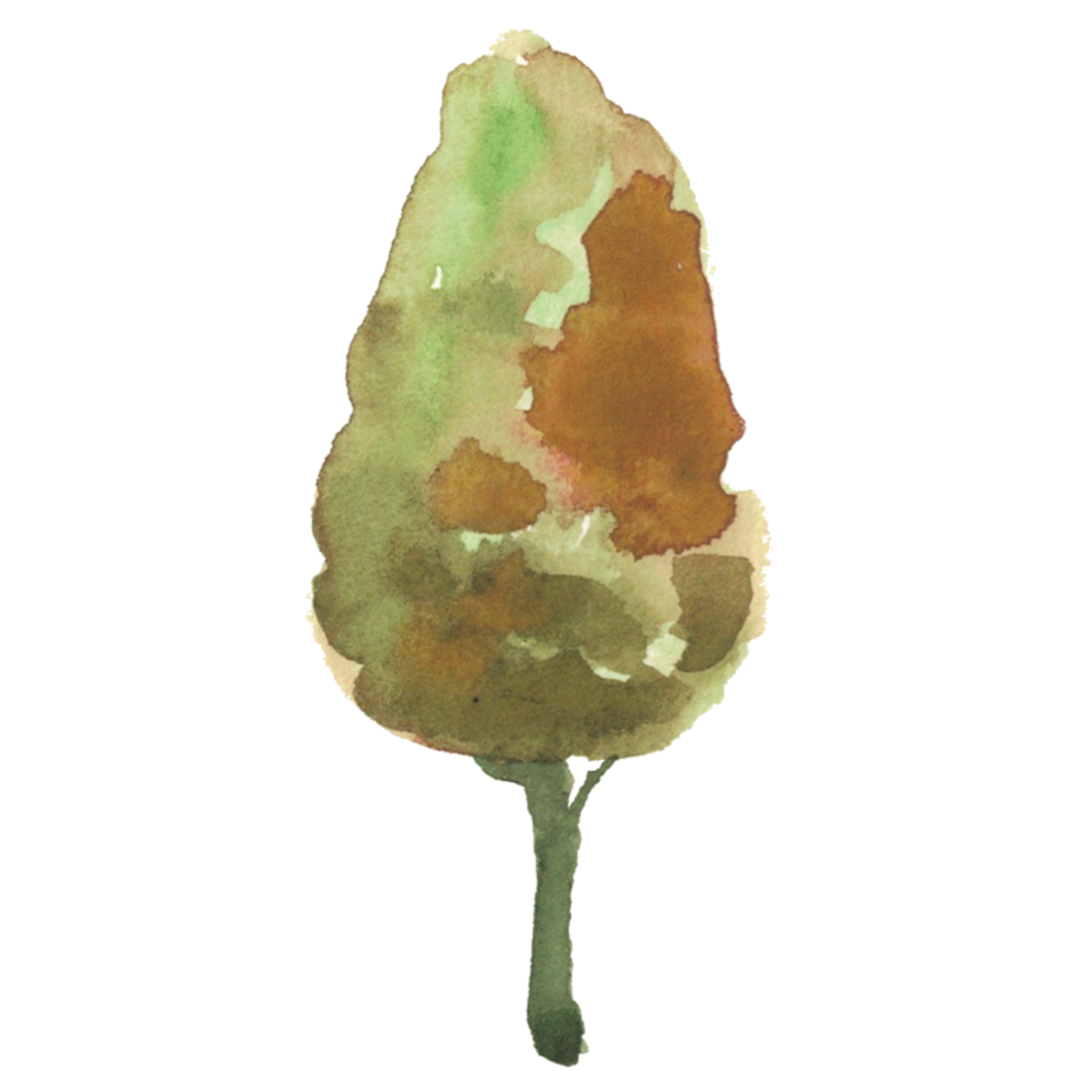 Trees Change Color In Autumn Season 28714125 PNG trees-change-color-in-autumn-season-28714125-png