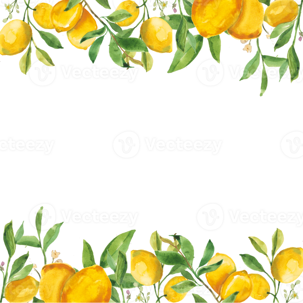 lemon frame of lemon png
