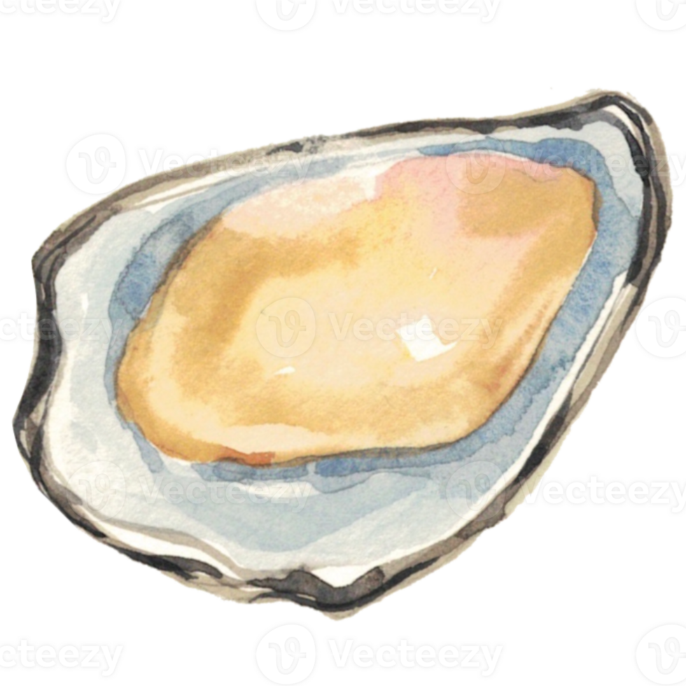 Schale Meeresfrüchte Meer Aquarell png