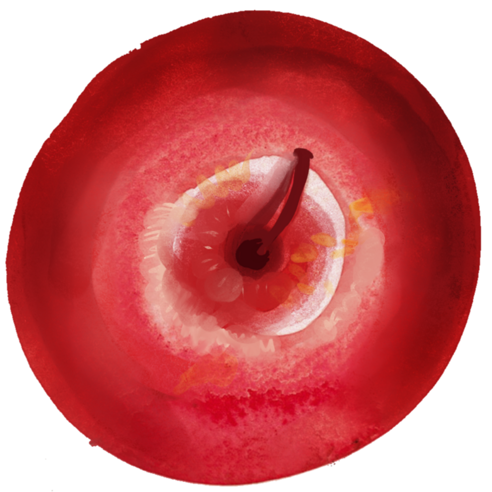 apple watercolor red fruit png