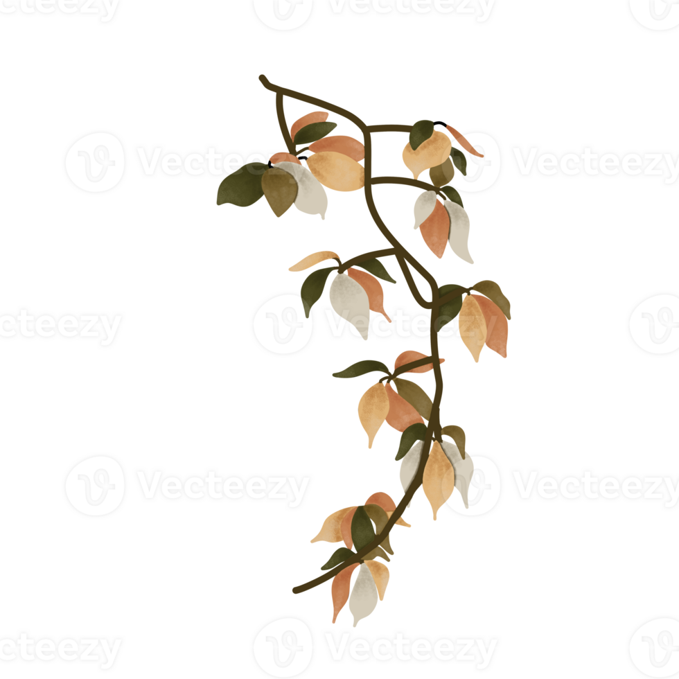 Autumn Leaves Illustration png