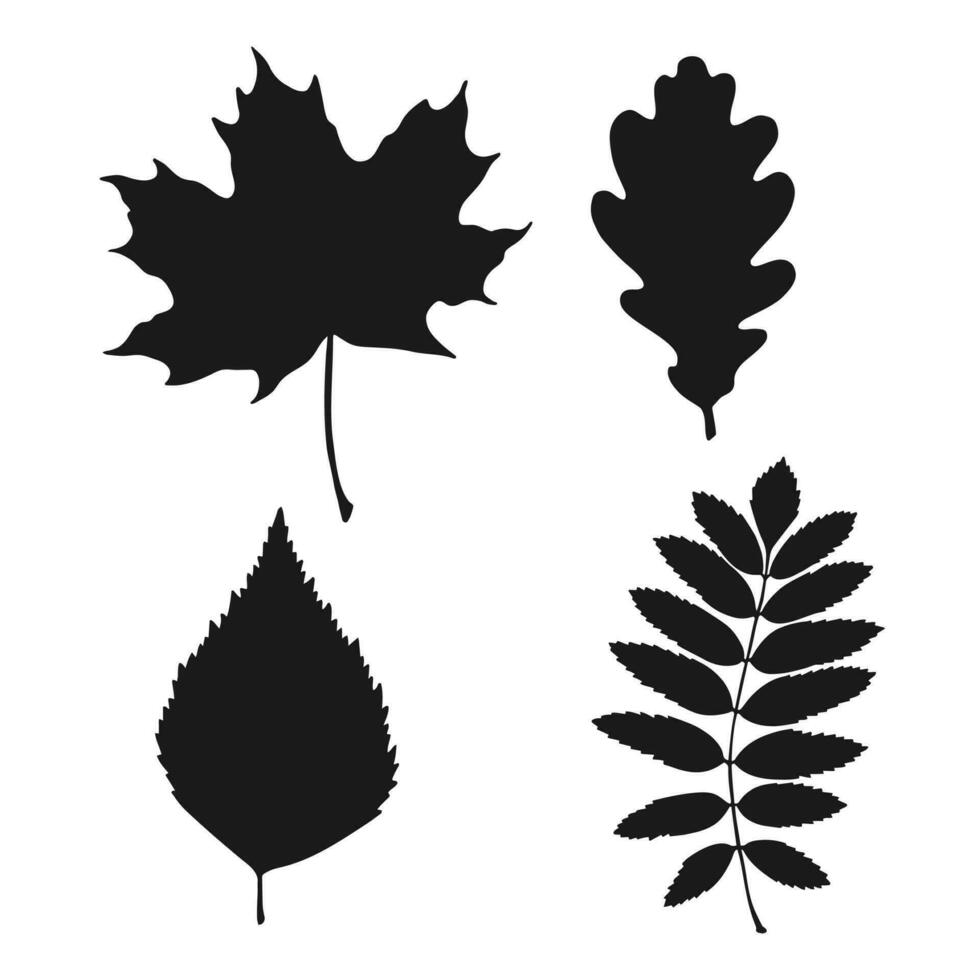 Set with silhouette leaves. Hand drawn autumn vector illustration.