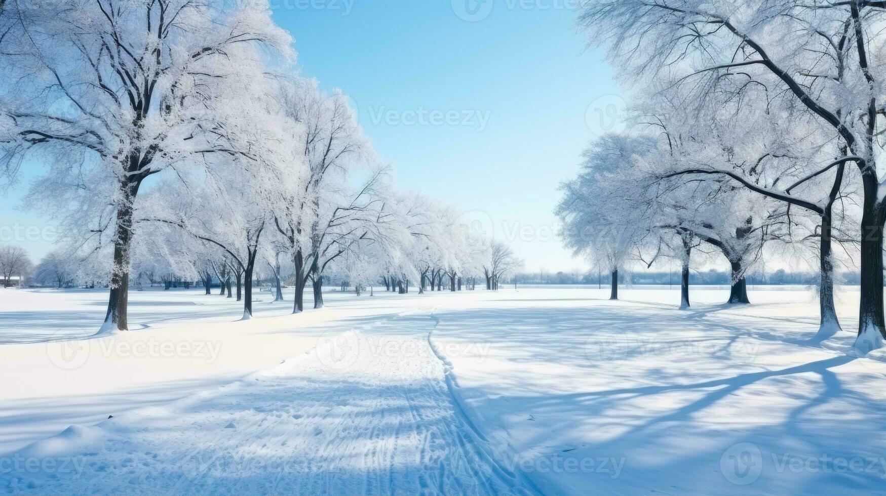 City park trees bent under ice load background with empty space for text photo