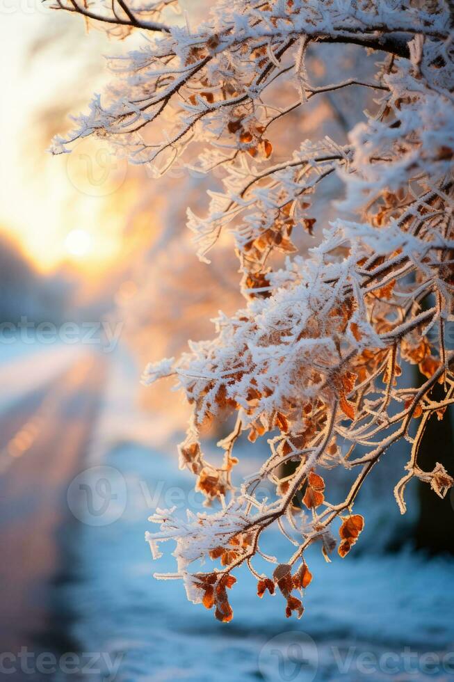 Winter landscape displaying ice-encrusted tree branches glistening under the stark frosty sunlight photo