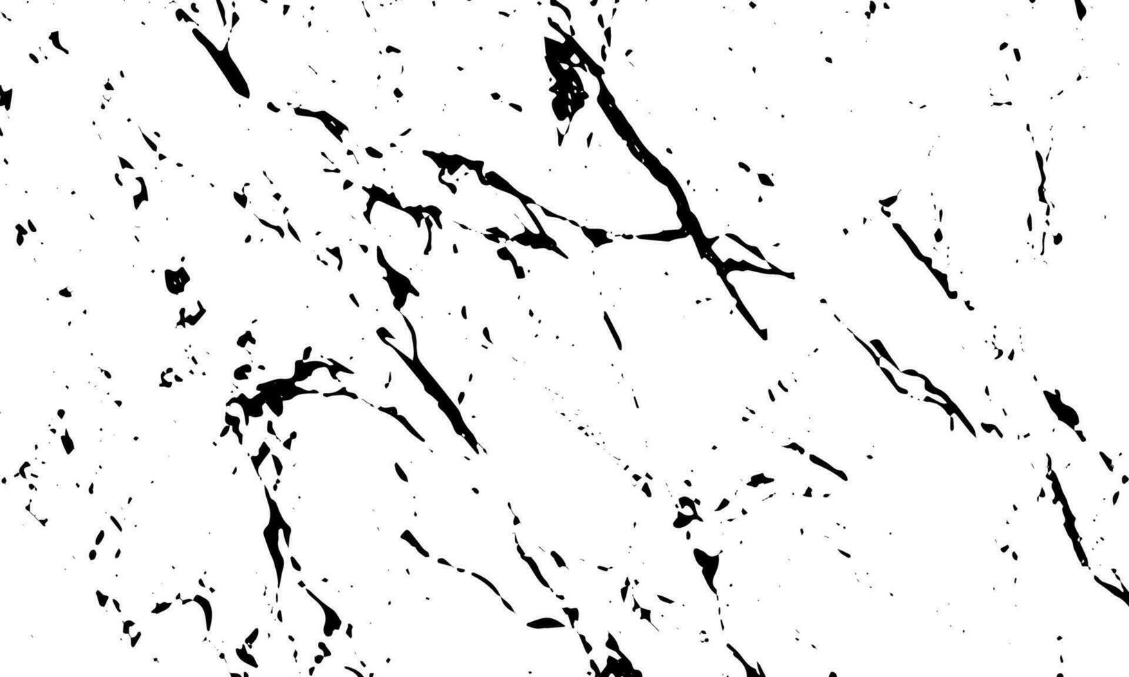 black and white marble texture background vector