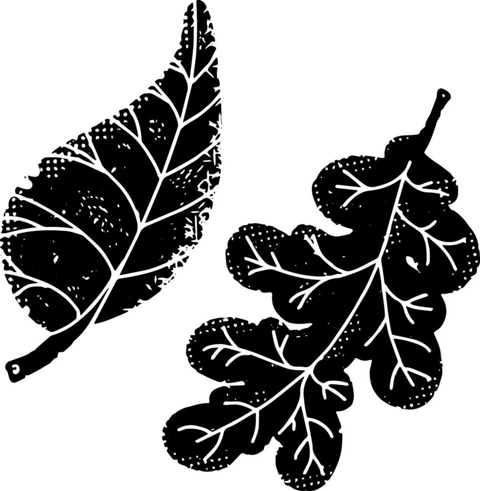 two leaves are shown in black and white vector