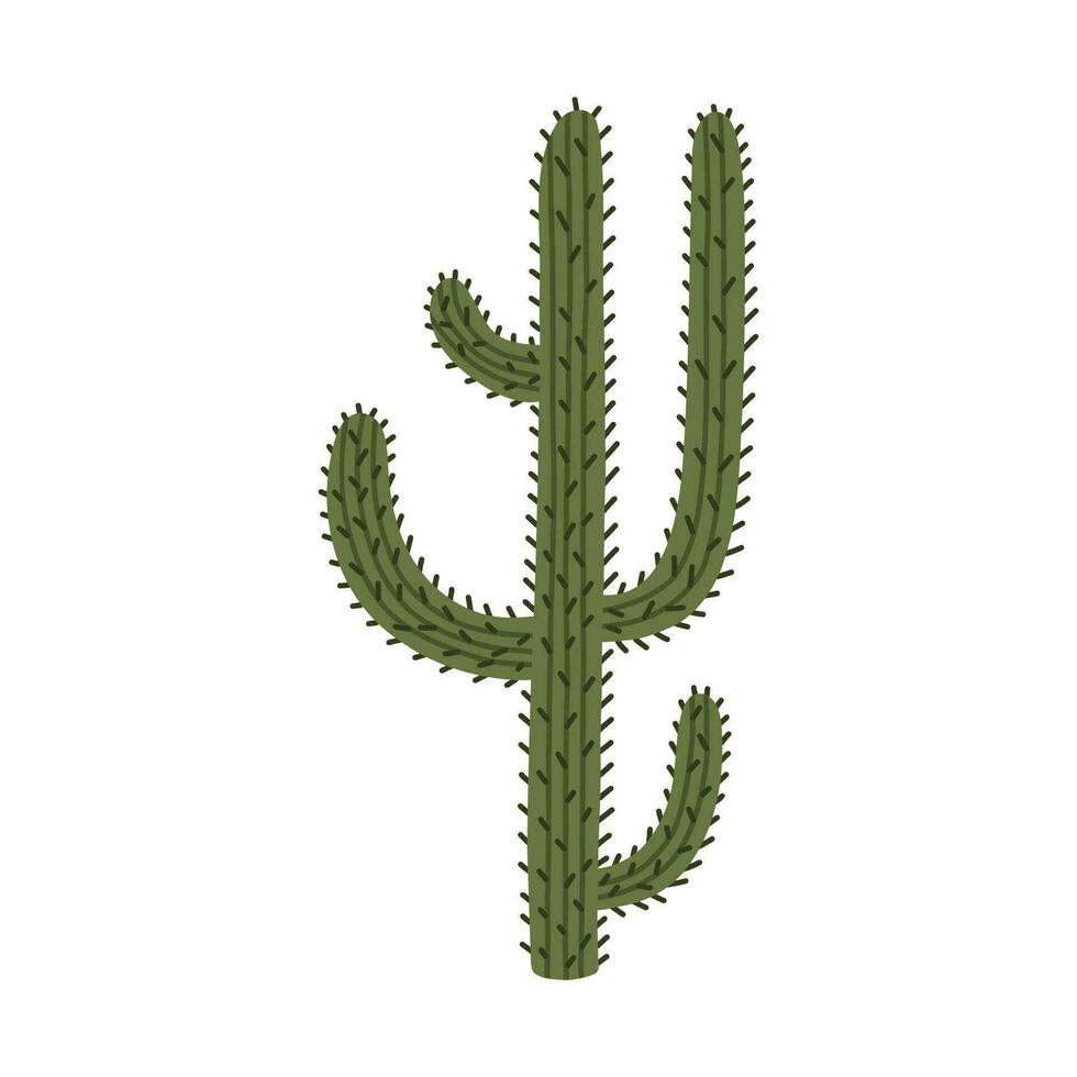Cute hand drawn saguaro cactus from Mexico or Wild West desert. Vector simple cacti flower with thorns in cartoon style. Mexican spiny exotic plant isolated on white background.