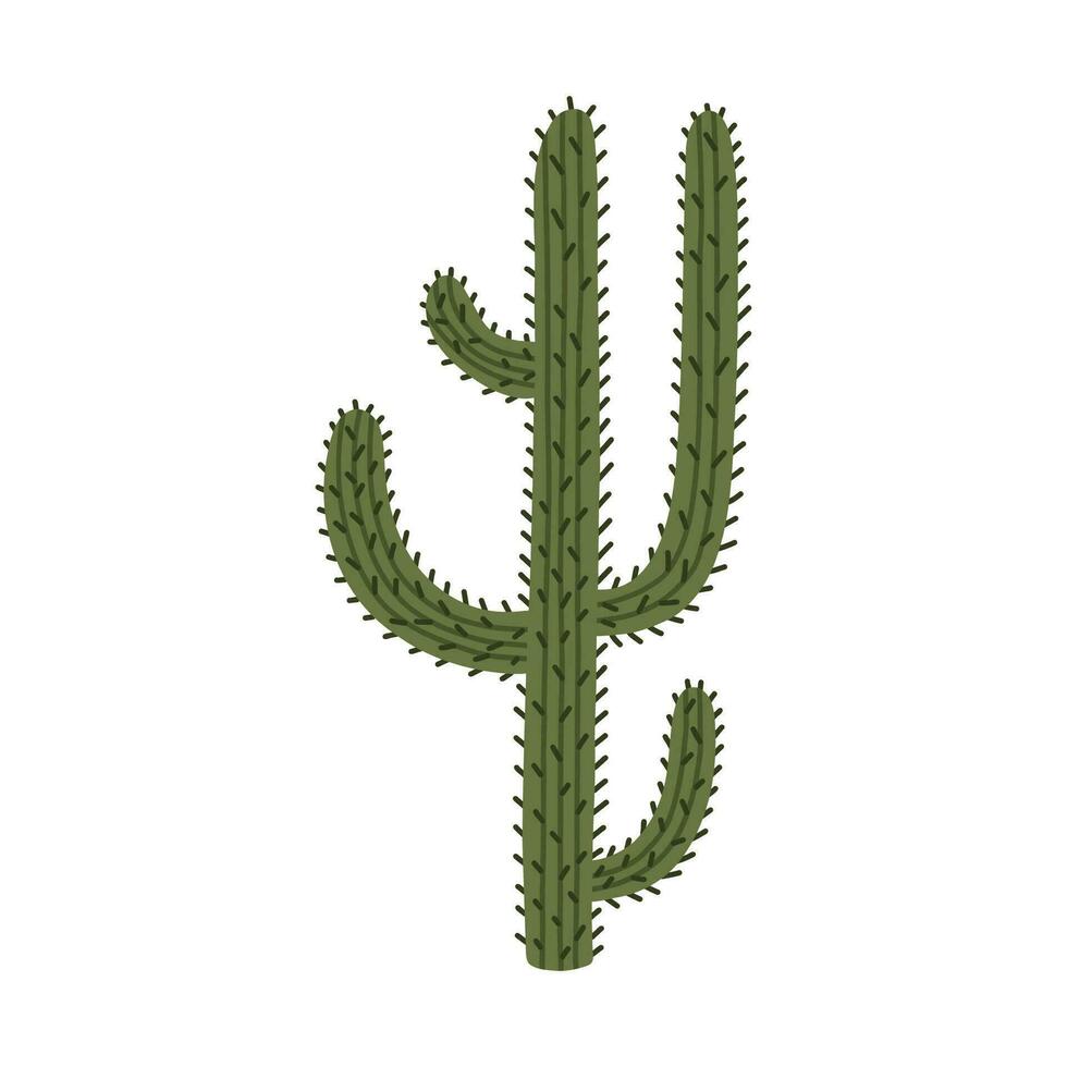 linda mano dibujado saguaro cactus desde mexico o salvaje Oeste desierto. vector sencillo cactus flor con espinas en dibujos animados estilo. mexicano espinoso exótico planta aislado en blanco antecedentes.