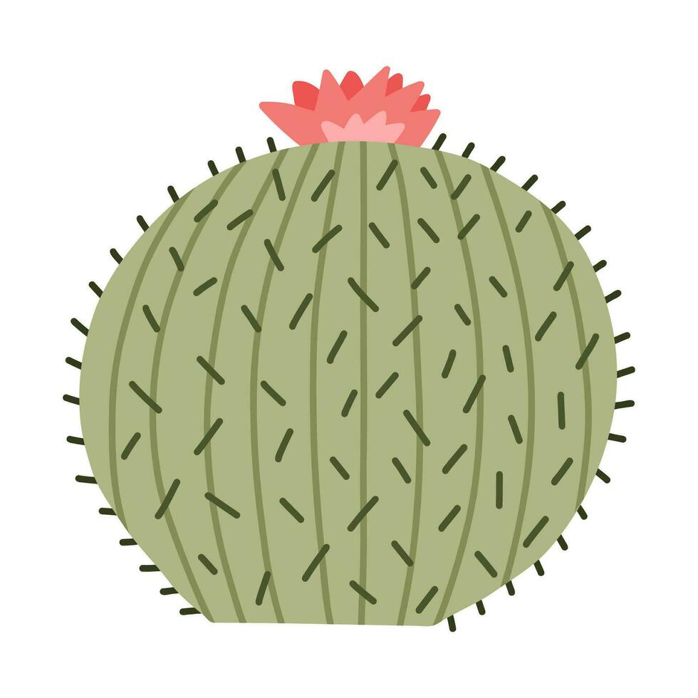 Cute hand drawn cactus from Mexico or Wild West desert. Vector simple cacti flower with thorns in cartoon style. Mexican spiny exotic plant isolated on white background.