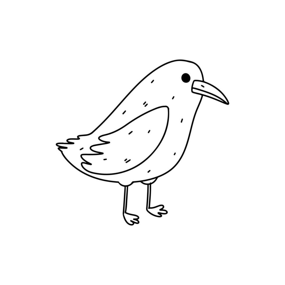 linda pájaro. mano dibujado garabatear estilo. vector ilustración aislado en blanco. colorante página.