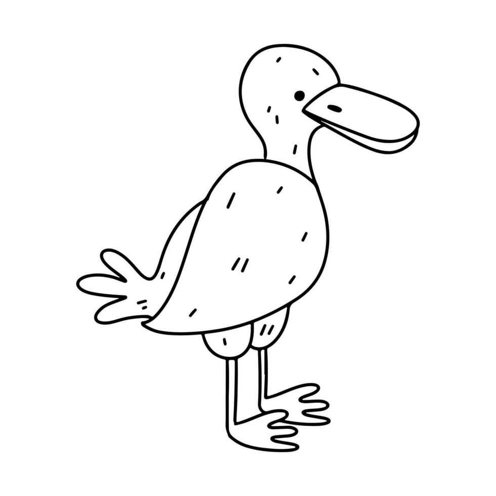 Wild duck. Hand drawn doodle style. Vector illustration isolated on white. Coloring page.