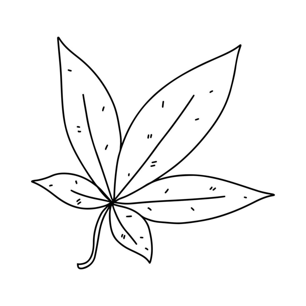 Autumn leaf. Hand drawn doodle style. Vector illustration isolated on white. Coloring page.