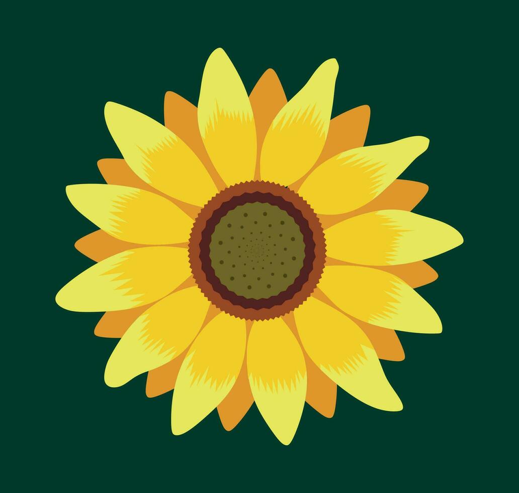 Beautiful Yellow Sunflower Isolated on Green Background. Flower Vector Illustration. Sunflower Clip art