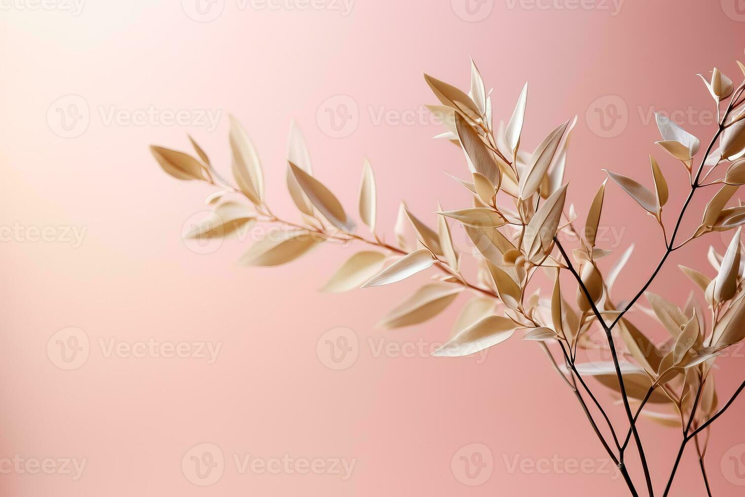 A close-up shot of delicate mistletoe leaves on a light blush pink background creating a subtle yet festive ambiance photo