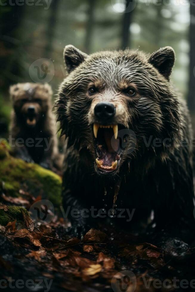 A snarling wolf confronts a protective mother bear showcasing the intense rivalry for food and territory in the wilderness photo