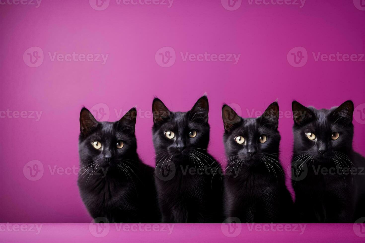 A captivating image of black cat silhouettes against a deep purple backdrop offering ample empty space for text photo