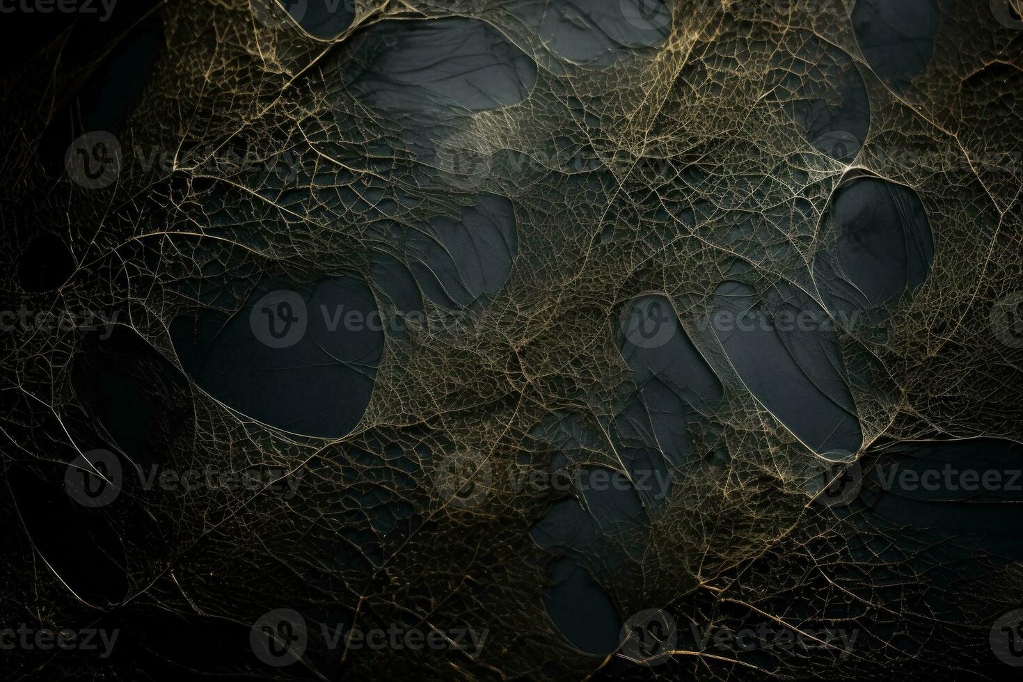 Intricate silver spider webs delicately intertwined casting shadows on a brooding charcoal background photo