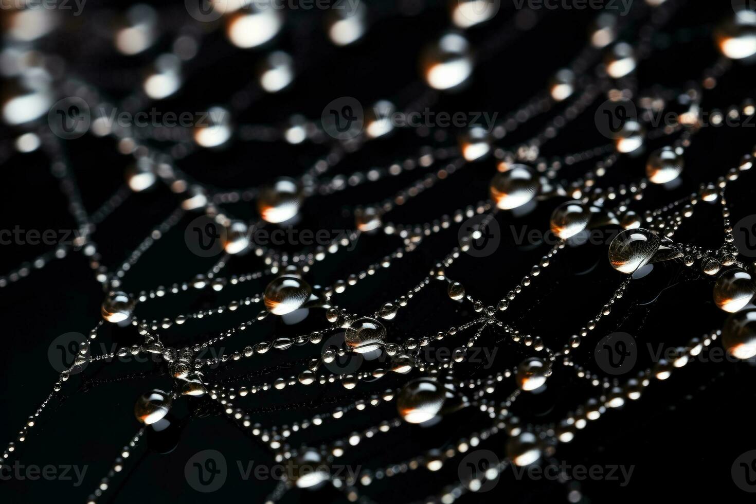 Intricate spider web glistening with dew in a delicate low relief elegantly captured on a dark gradient backdrop photo