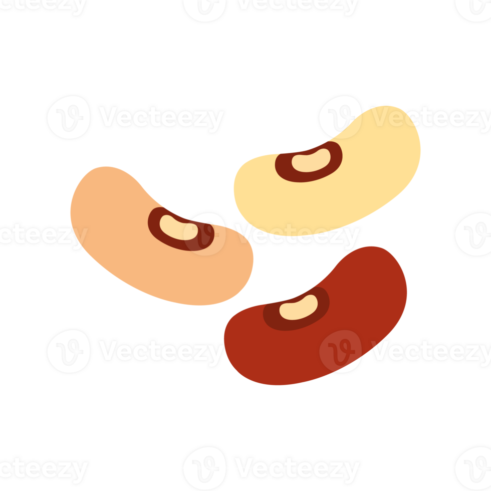 Beans, kidney beans png