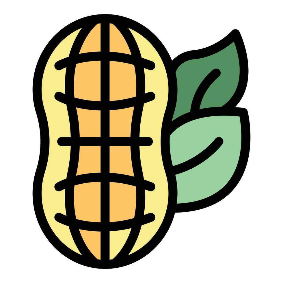 Whole peanut icon vector flat