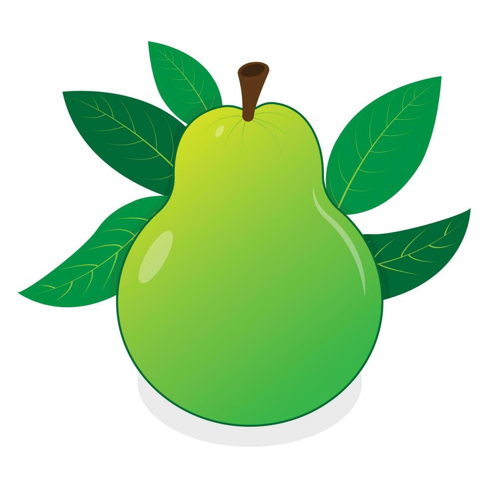 Green Pear with Leaves vector