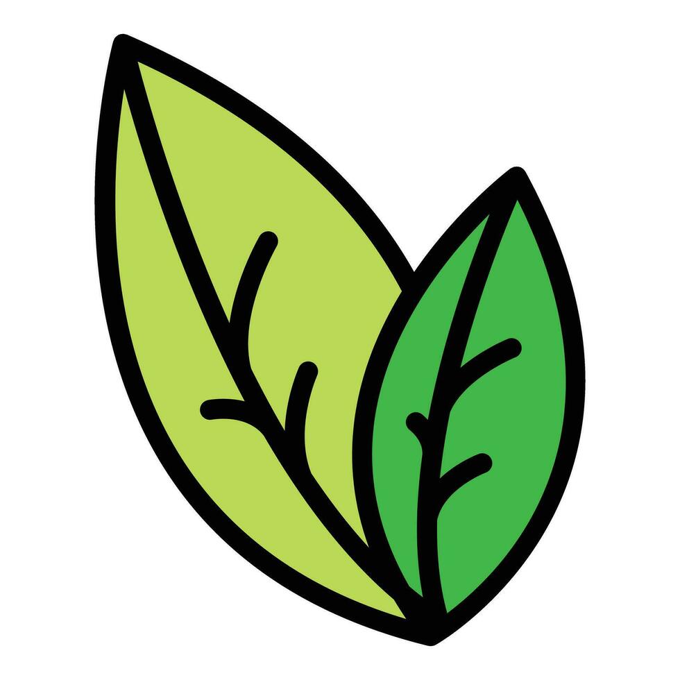 Oregano plant icon vector flat