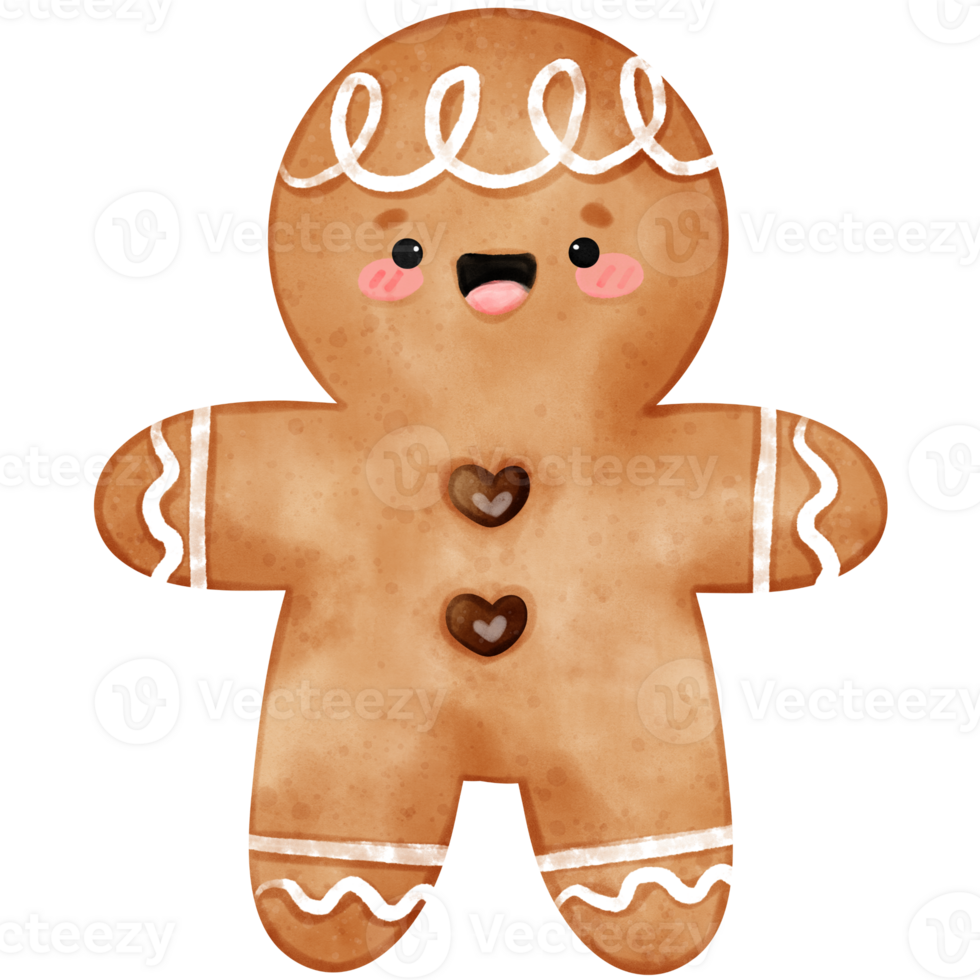 Gingerbread, Christmas Cookie, Cookies, illustration watercolor png