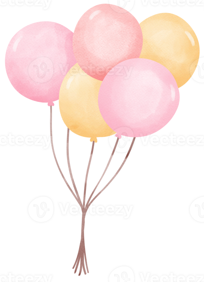 Rosa Geburtstag Luftballons png