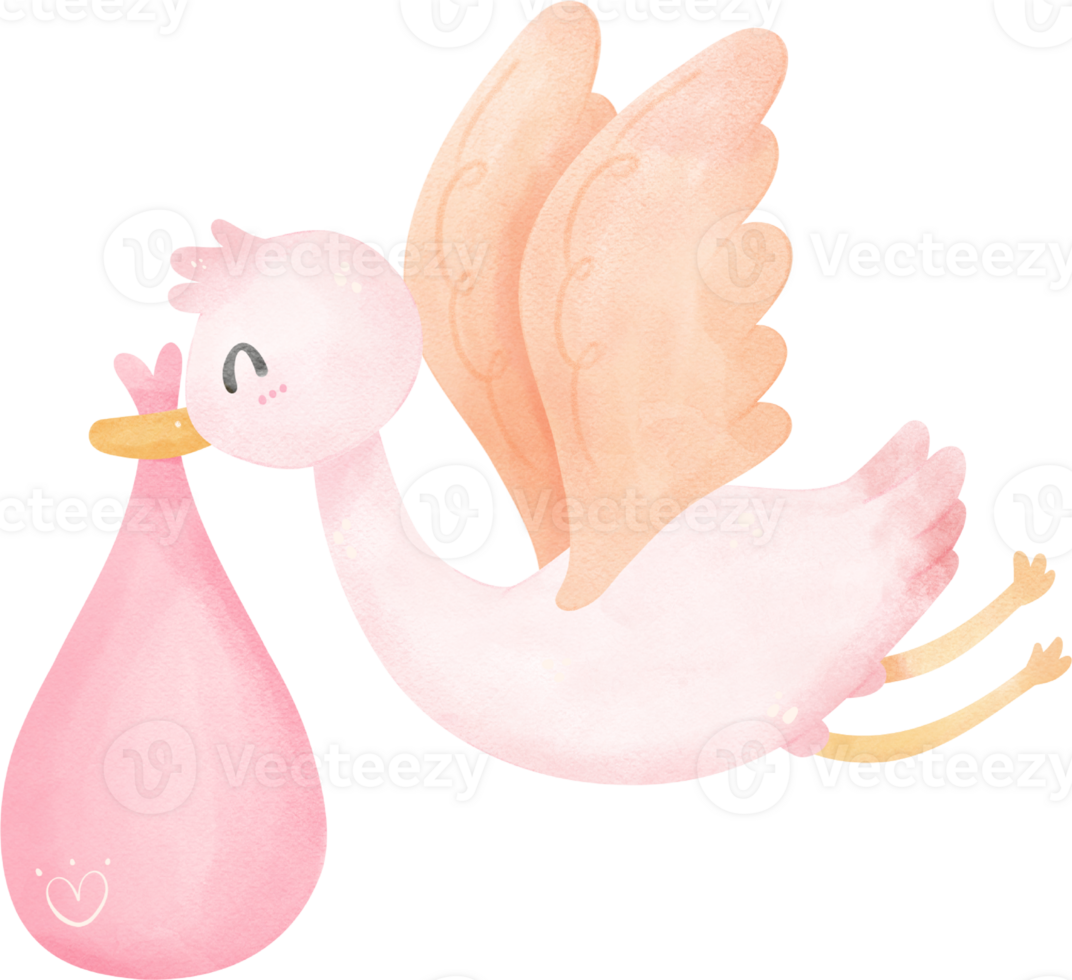Baby shower bear girl, stork bird with newborn png
