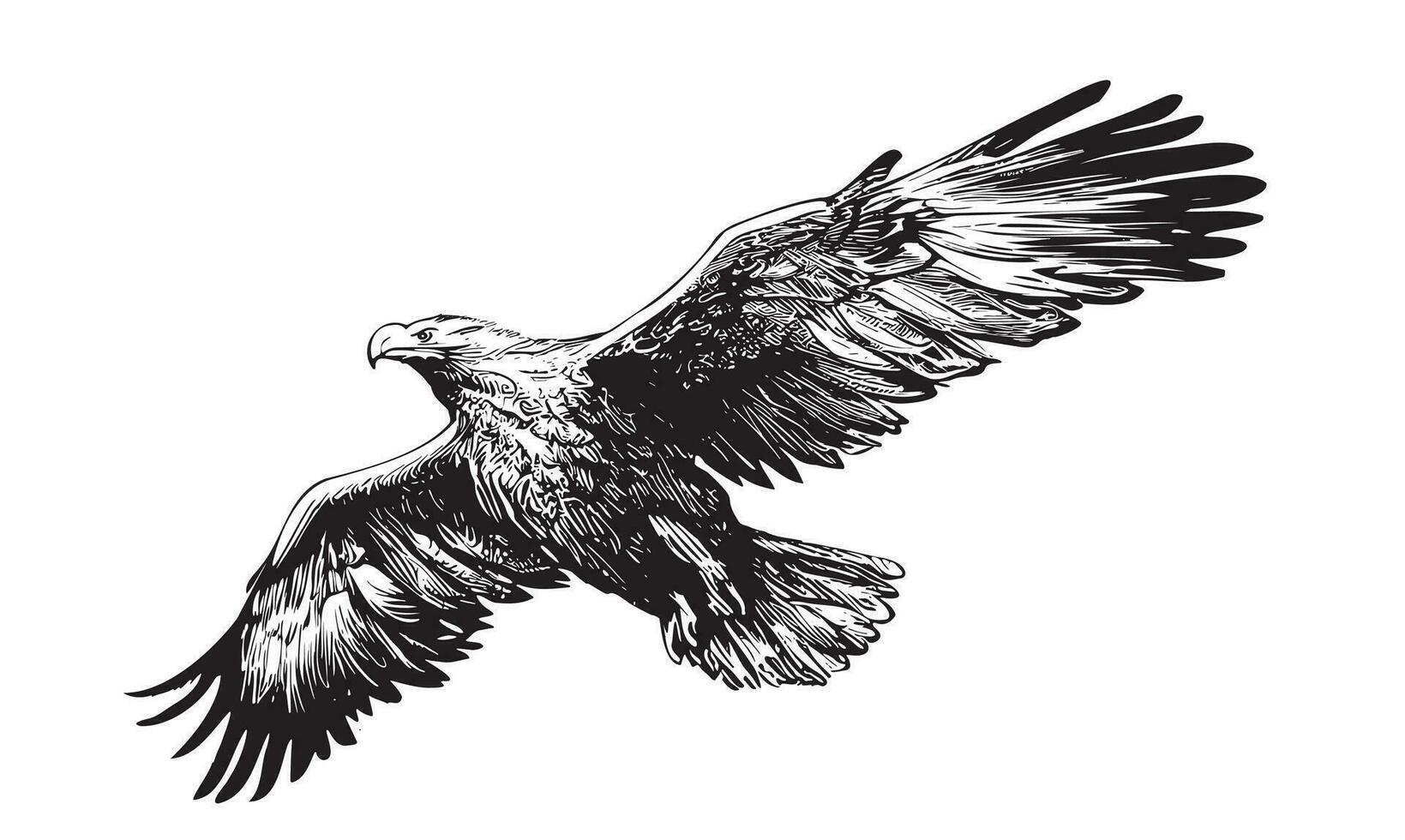 Eagle flying isolated on white background hand drawn sketch Vector illustration