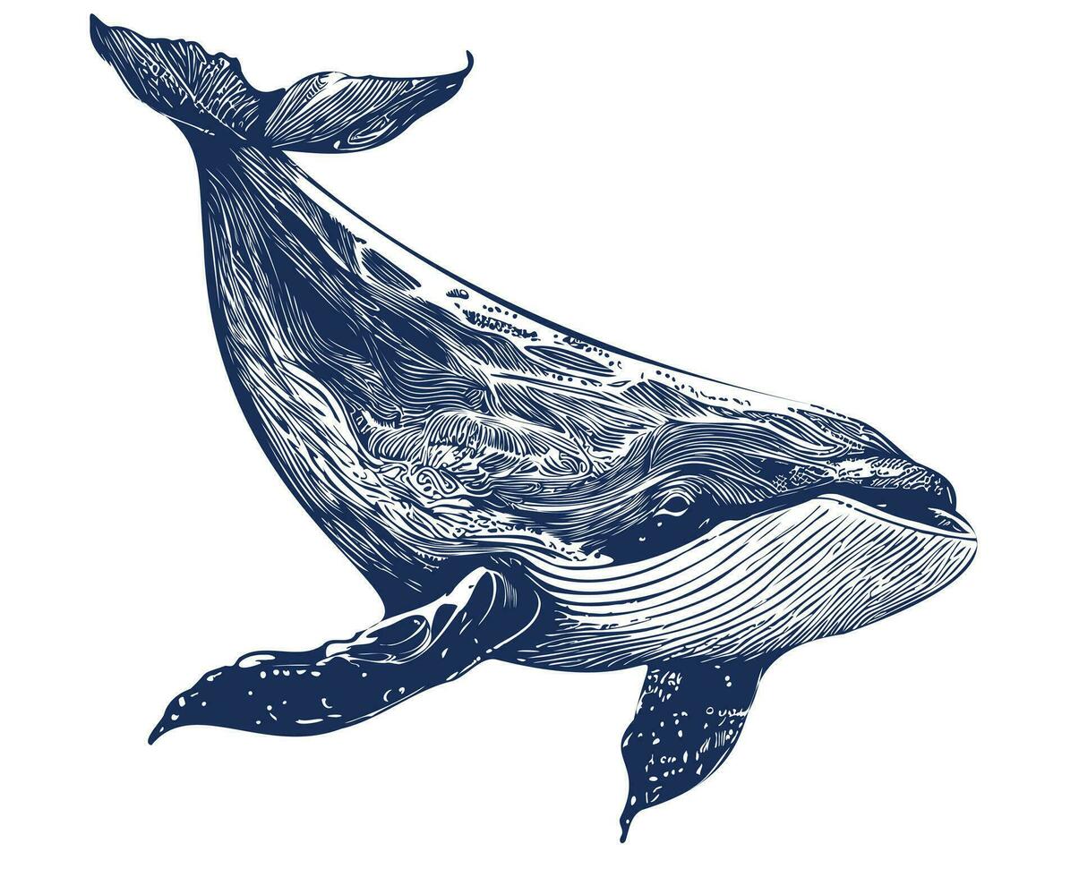 ballena mar animal bosquejo mano dibujado en garabatear estilo vector ilustración