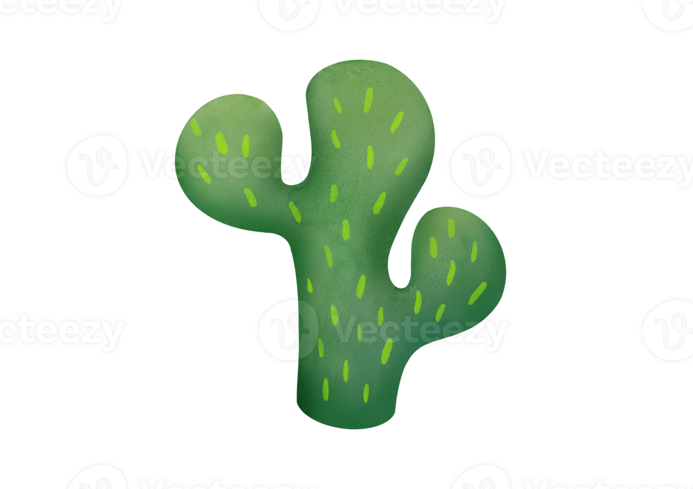 cut out Cute green Mexican cactus. Hand drawn botanical illustration isolated on transparent background. Succulent clipart for scrapbooking, cards, prints about nature and deserts png