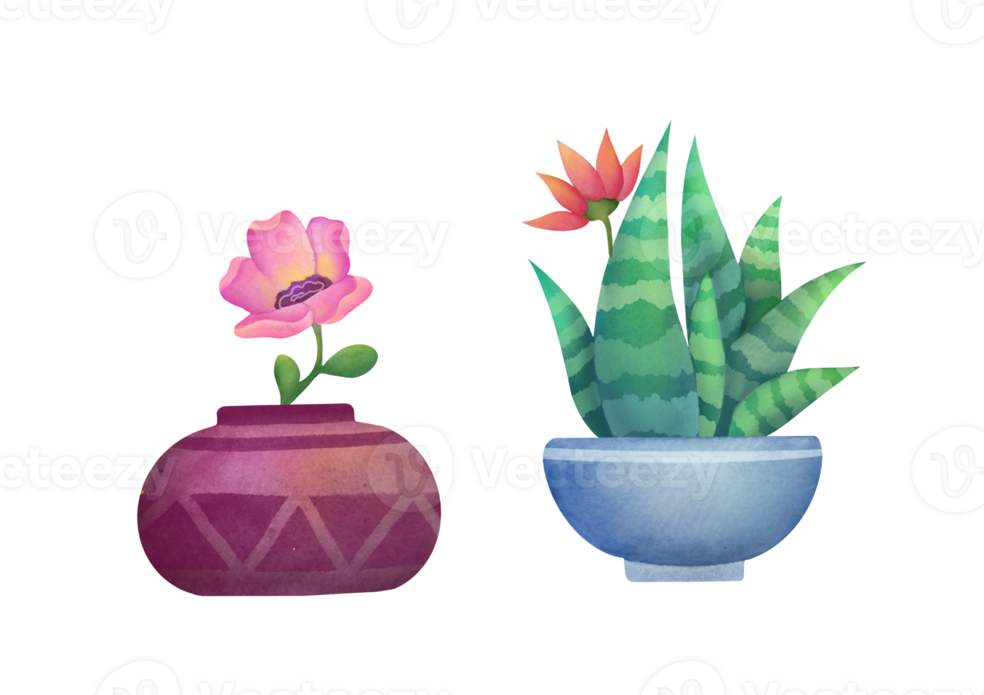 Watercolor clipart Cacti set isolated on transparent background for stickers, greeting cards, scrapbooking. collection of Cute Indoor plants, succulents in clay pots png