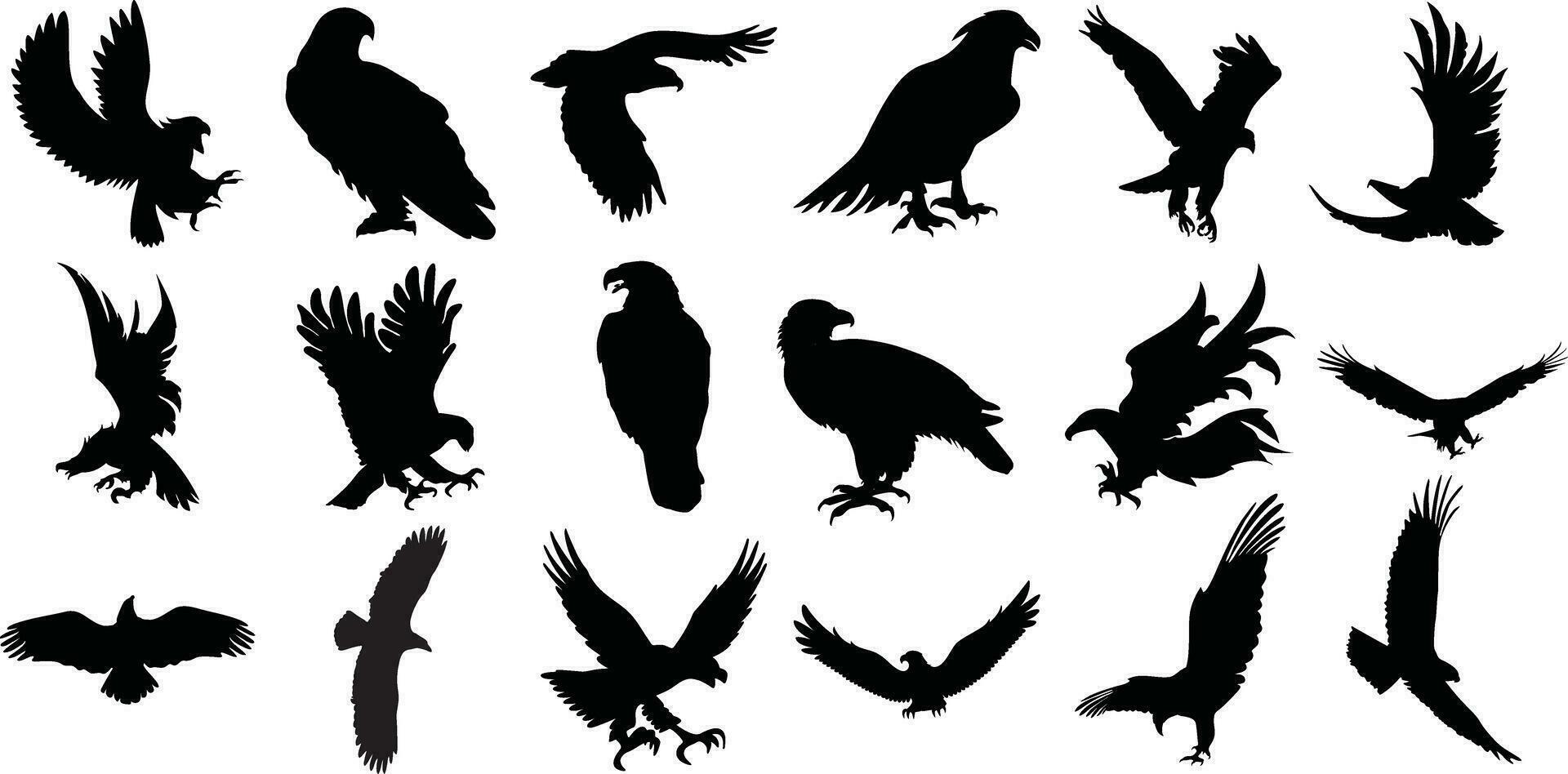 Set of eagle silhouette, fliying bird silhouette, isolated on white background vector