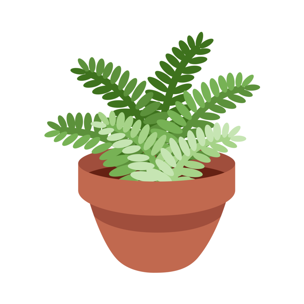 Fern Plant Generative Ai png