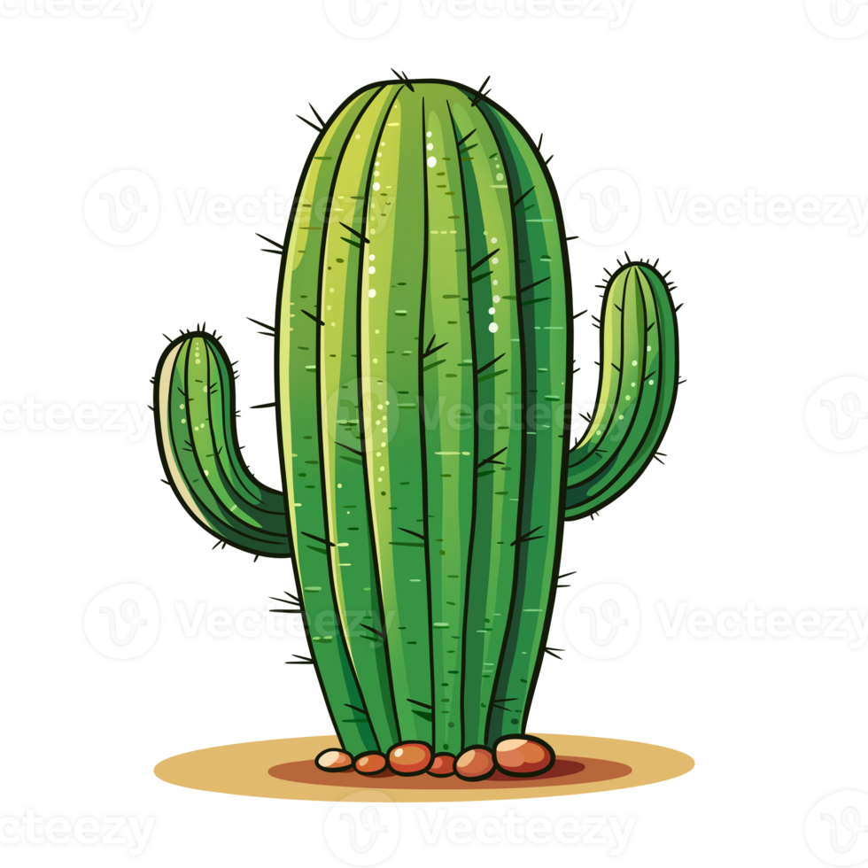 schattig cactus illustation png