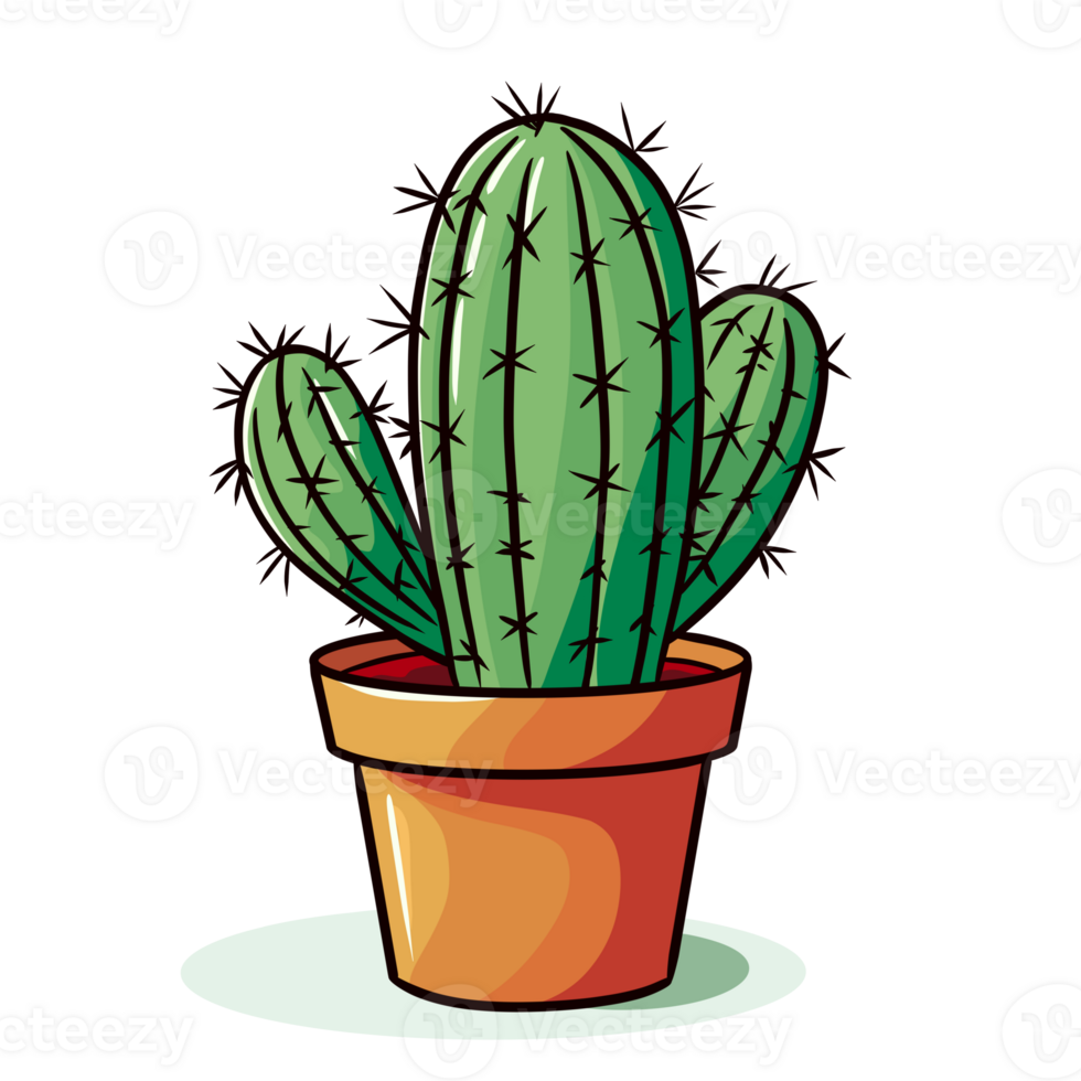 cute cactus illustation png