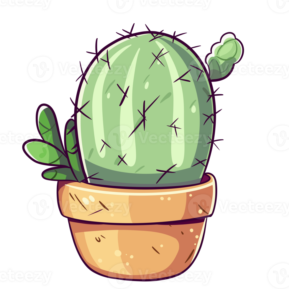 cute cactus illustation png