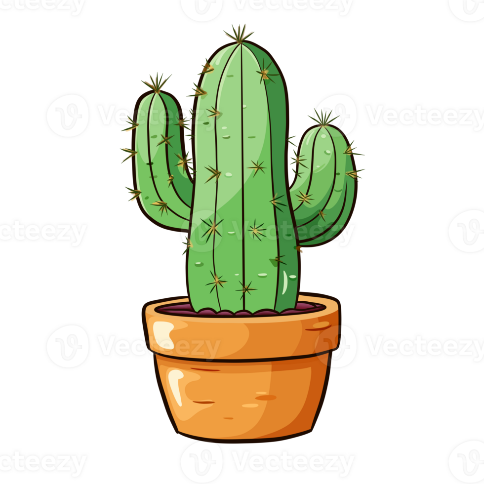 cute cactus illustation png