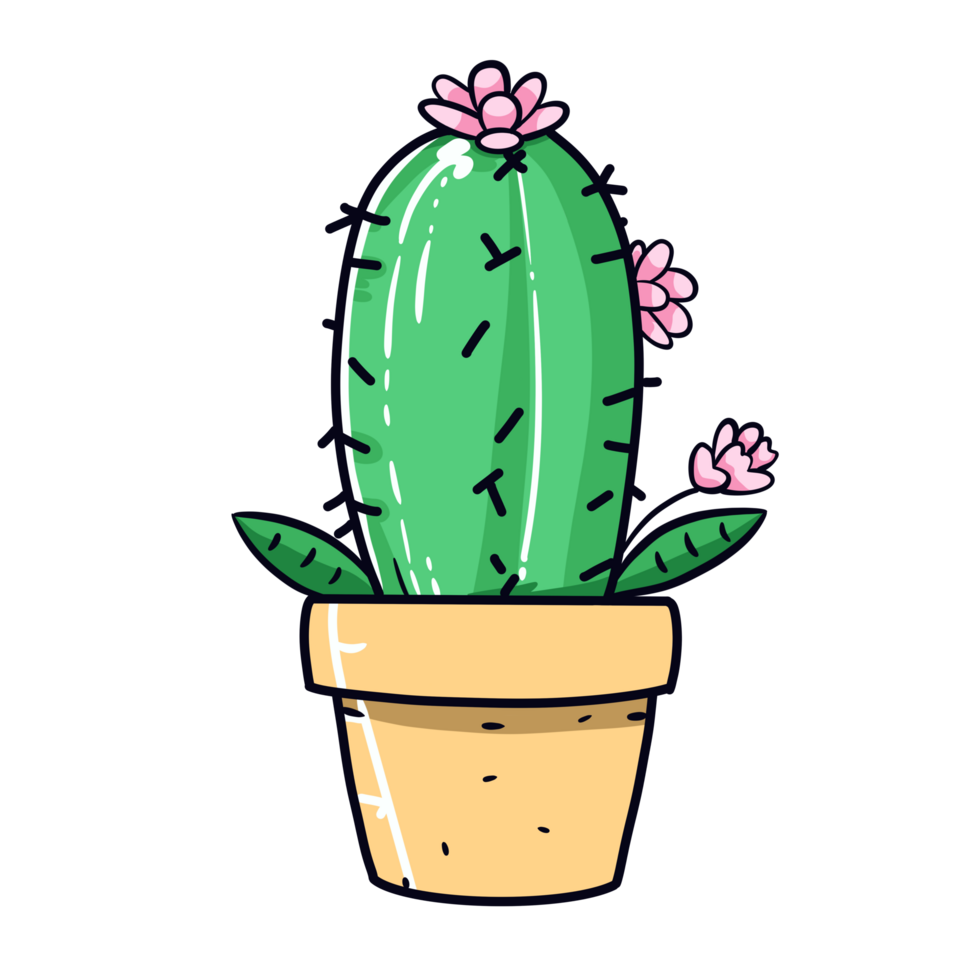 cute cactus illustation png