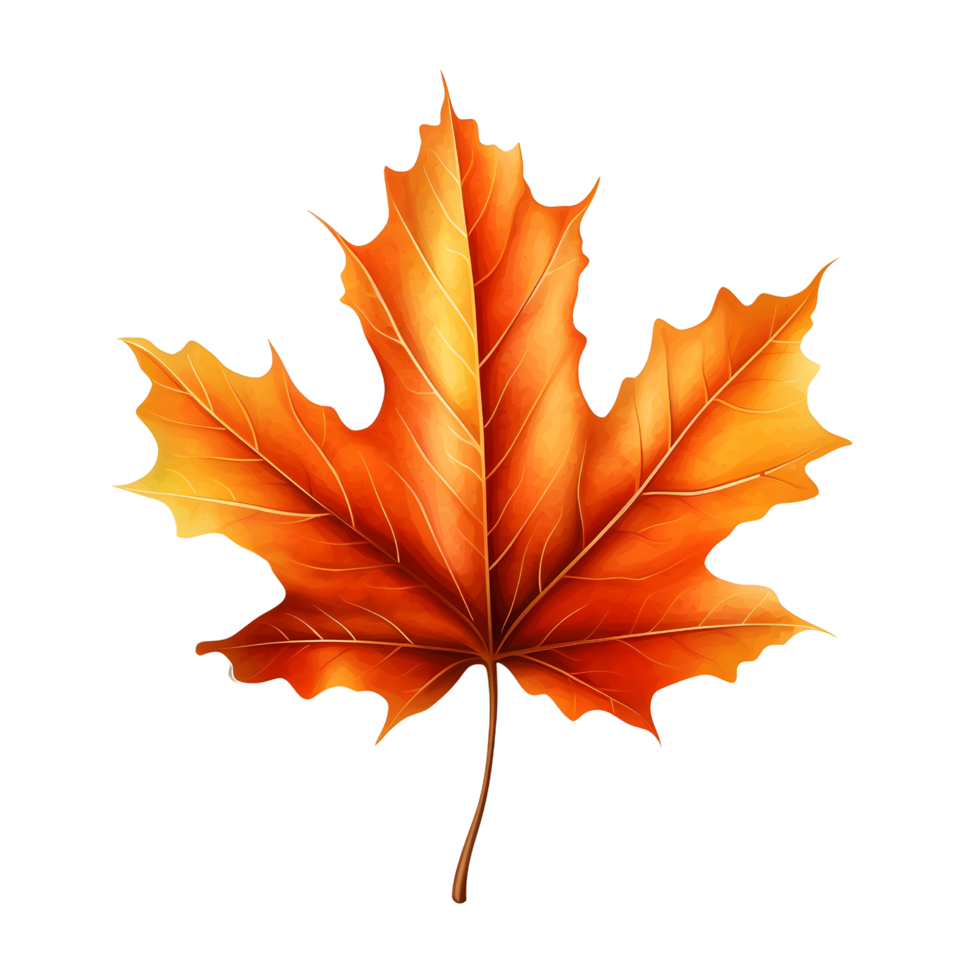 A golden maple leaf png