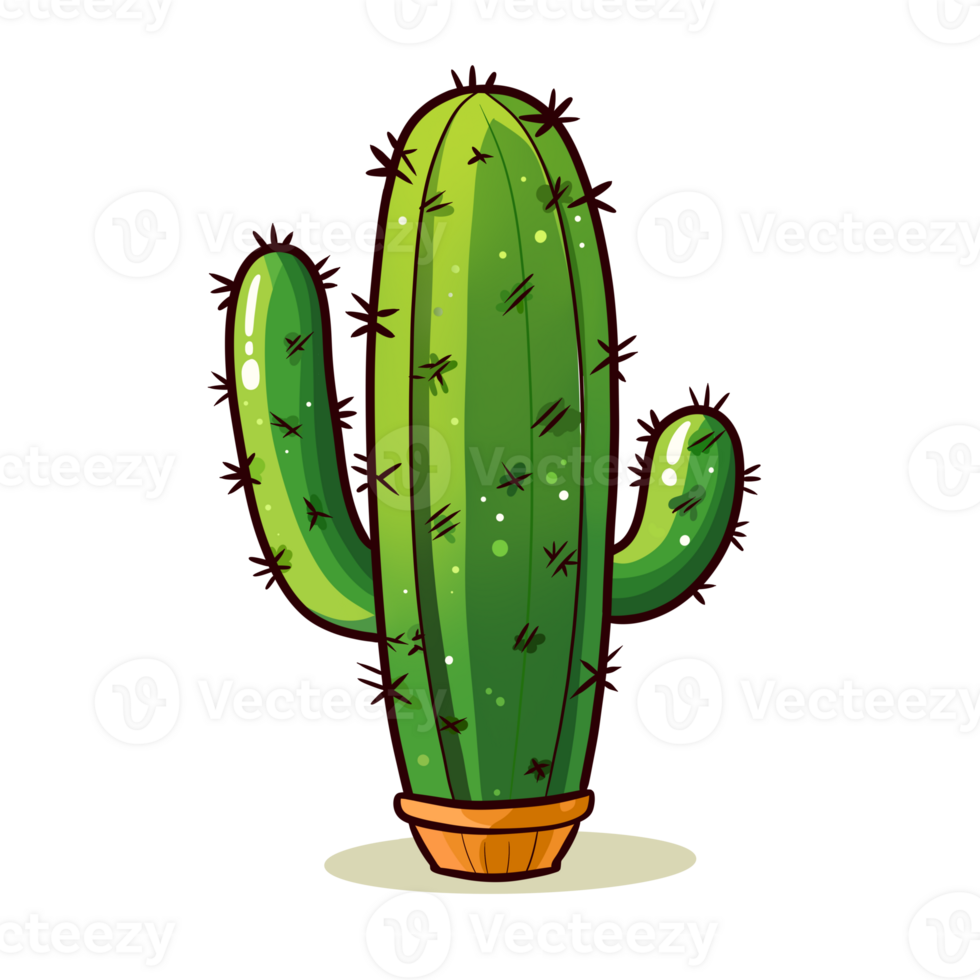 cute cactus illustation png